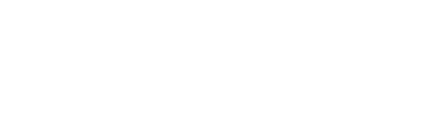 Villyz
